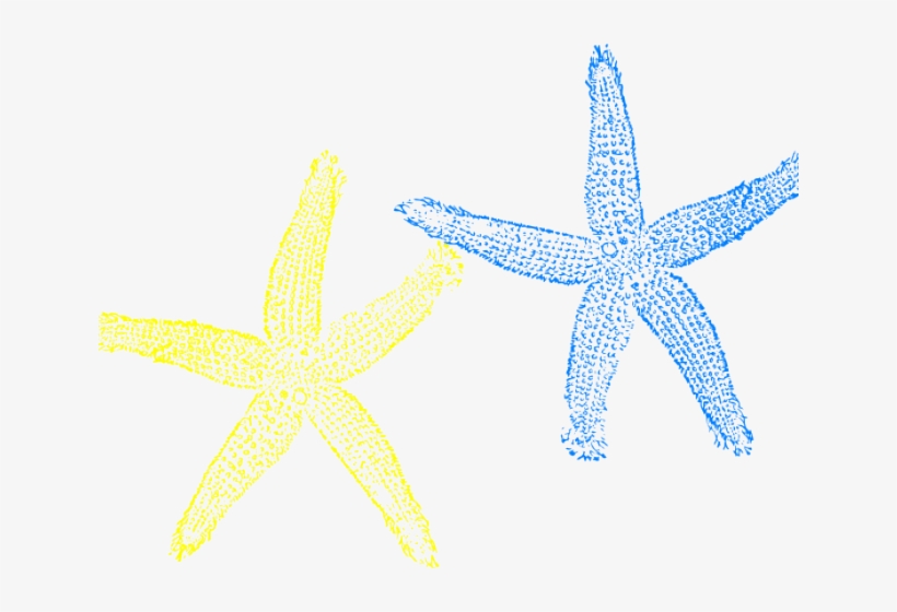 Fish Clip Art, transparent png