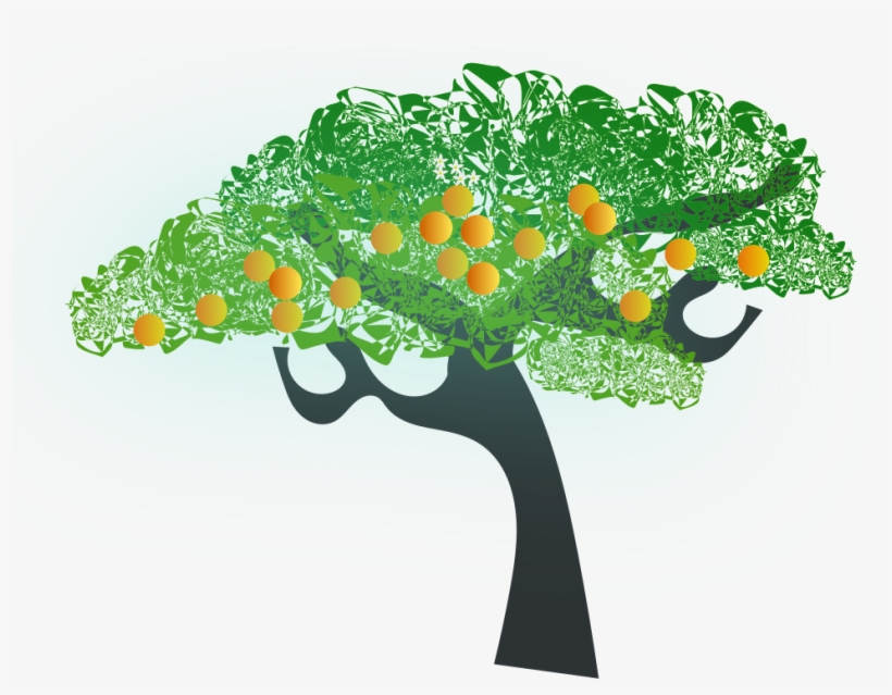 Orange Tree - Orange Tree Clip Art, transparent png