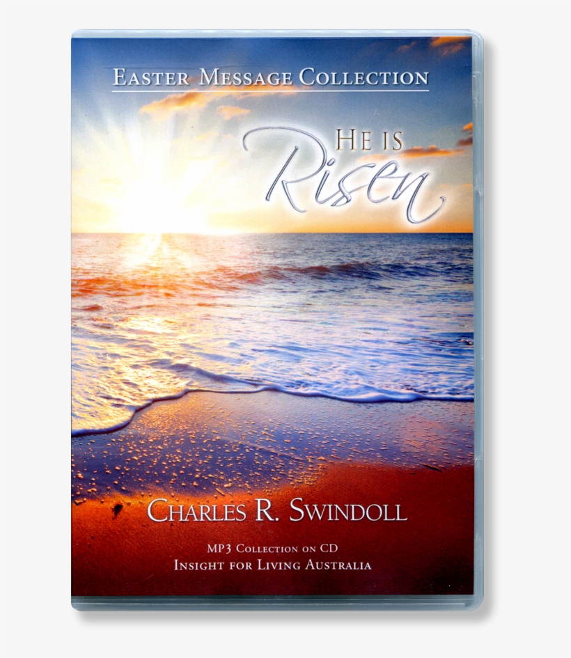 Loading Zoom - Poster, transparent png