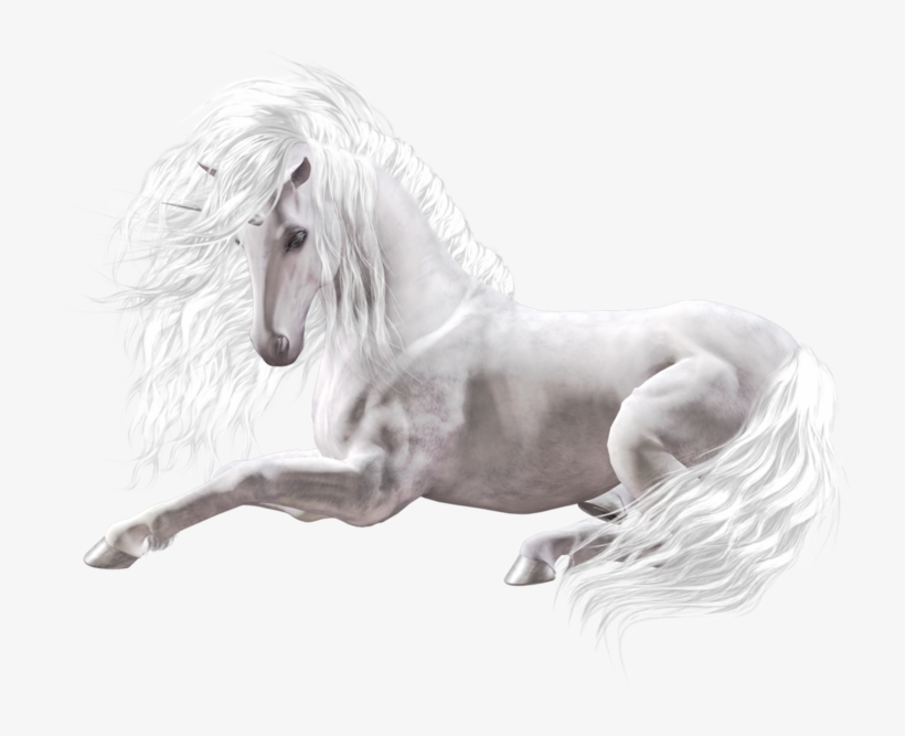 White Black Horse Png - Zaginiony Świat Koni Książka, transparent png