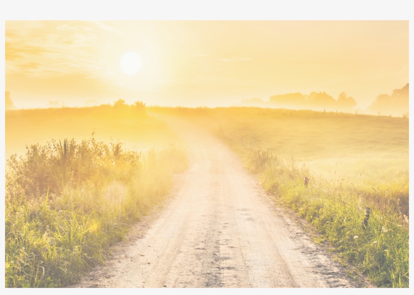 Christ The Lord Is Risen Today - Weg Zum Licht, transparent png