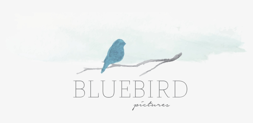 Bluebird Pictures // Bree Fowles - Poster, transparent png