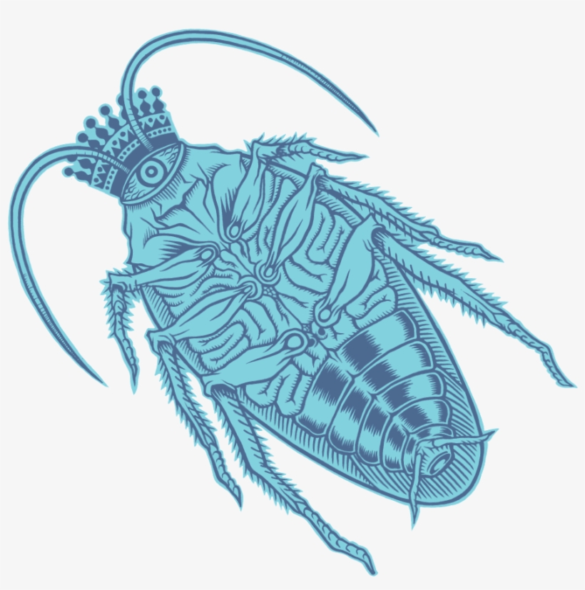 King Of Roach@identity - House Fly, transparent png