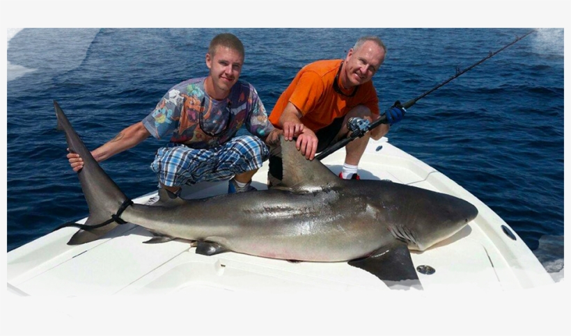 Cape Canaveral Shark Fishing - Cocoa Beach Bull Shark, transparent png