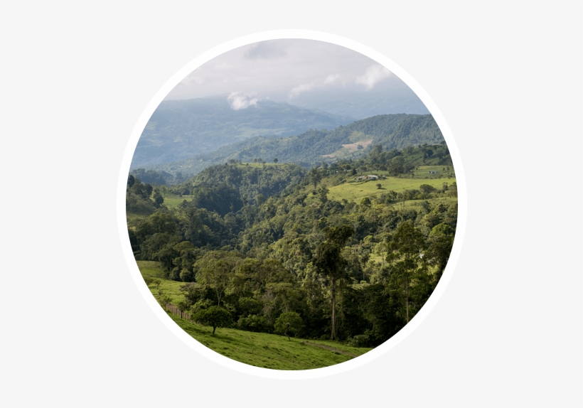 The Beach In Costa Rica, But If You Are Looking For - Hill, transparent png