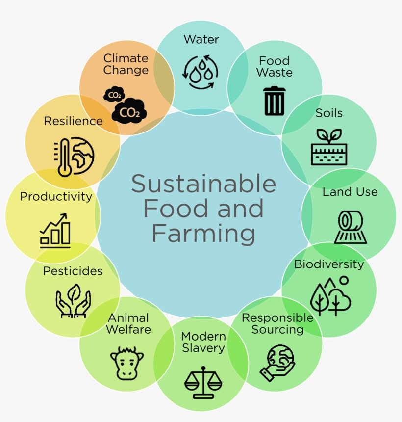 Help Them Address Many Of The Sustainable Development - Sustainable Use Of Food, transparent png