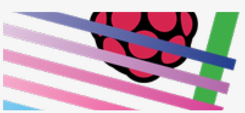 Raspberry Pi Pt, transparent png