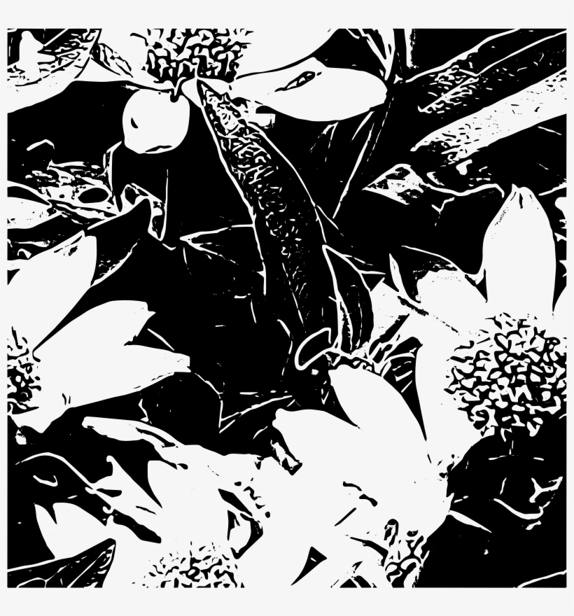 This Png File Is About Tile , Bw , Tileable , Summer - Illustration, transparent png