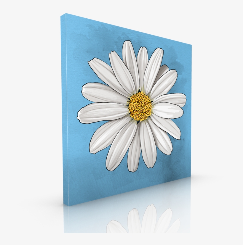 White Daisy - Daisy, transparent png