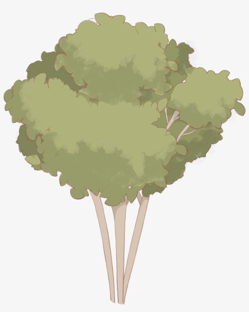 Hand Painted Plants Flowers Trees Png And Psd - Plane, transparent png