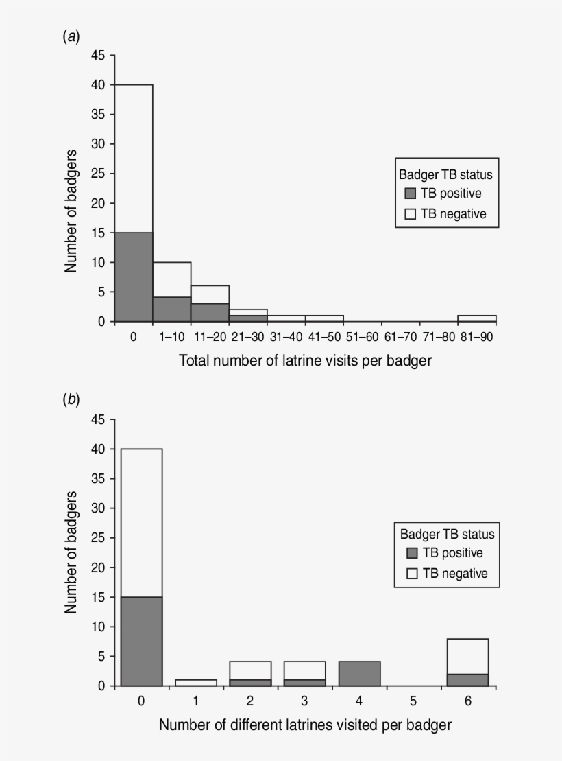 Distribution Of Badger Visits To Latrines Located On - Diagram, transparent png