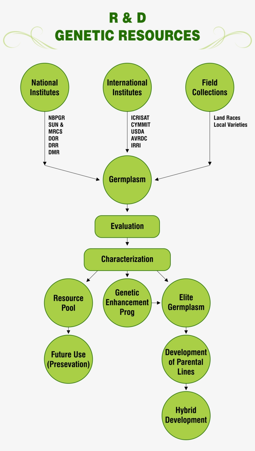 R & D Genetic Resources Png - Genetic Resources, transparent png