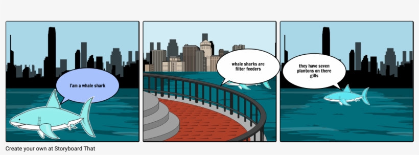 Whale Sharks - Metropolitan Area, transparent png