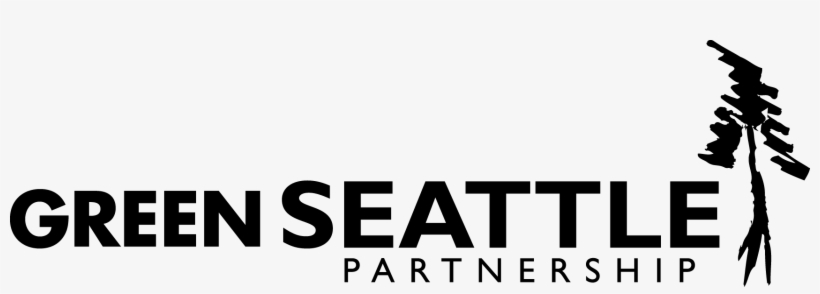 Seattle Png - Graphics, transparent png