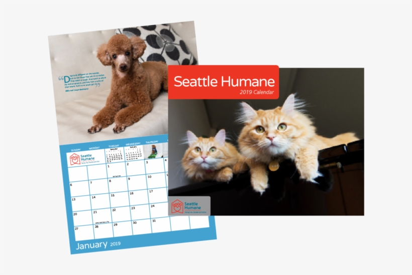 Each Month Of The Calendar Features An Adorable Seattle - Cat Grabs Treat, transparent png