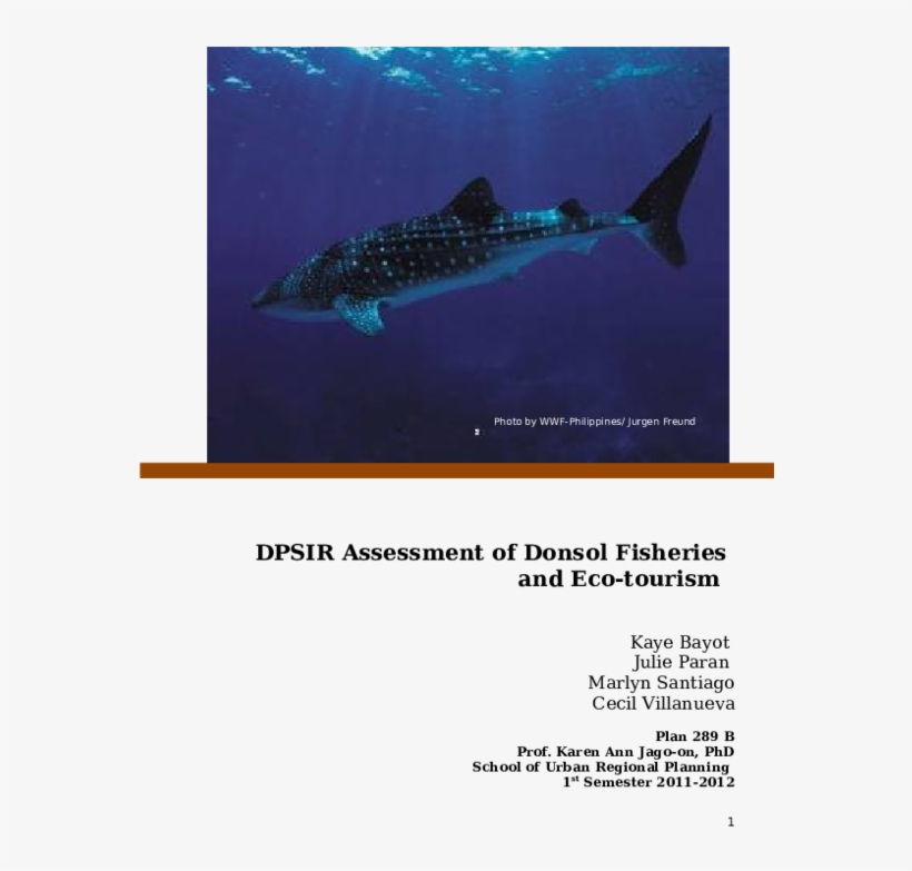 Doc - Whale Shark, transparent png