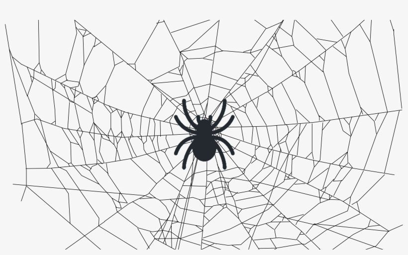 Crawleando A Web Com O Scrapy - Realistic Spider Web Drawing, transparent png