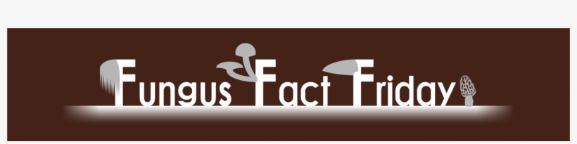 Cropped Fff Web Title 2 - Graphic Design, transparent png