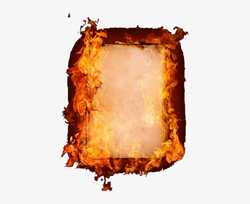 5 - Wood, transparent png