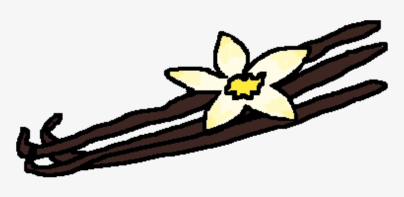 Vanilla Bean, transparent png