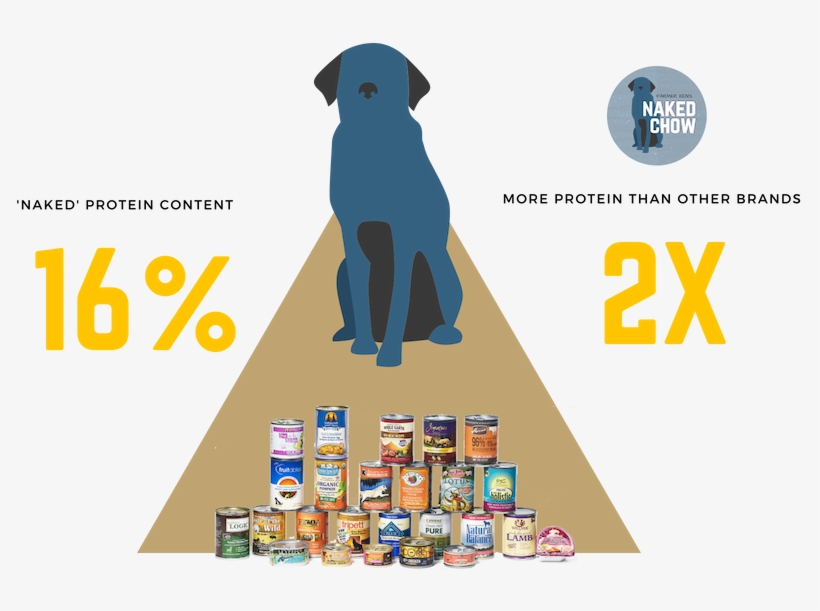 Naked Chow Web Images - Labrador Retriever, transparent png