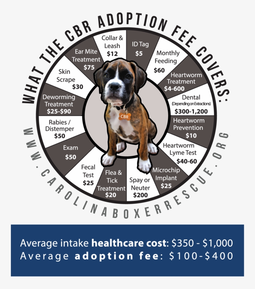 Cbr Cost Web - Ask Silly Questions Chocolate Understands, transparent png