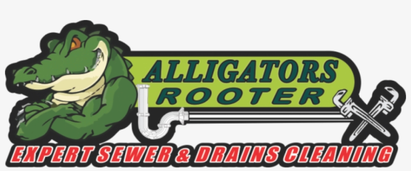 Alligatorsrooter - Com - Cartoon, transparent png