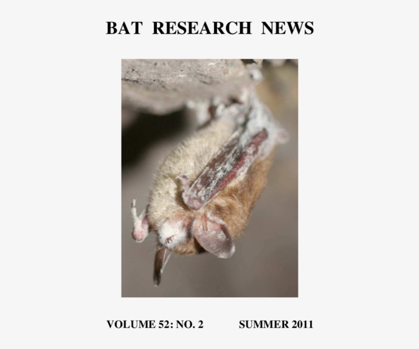 Pdf - Pest, transparent png