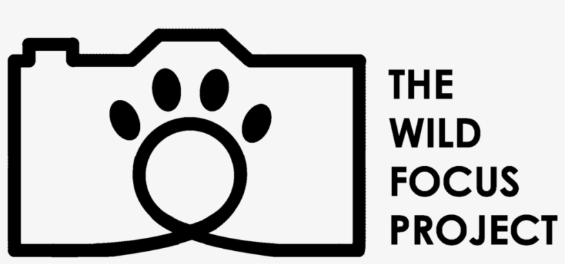 Logo With Text Black - Community Builder, transparent png