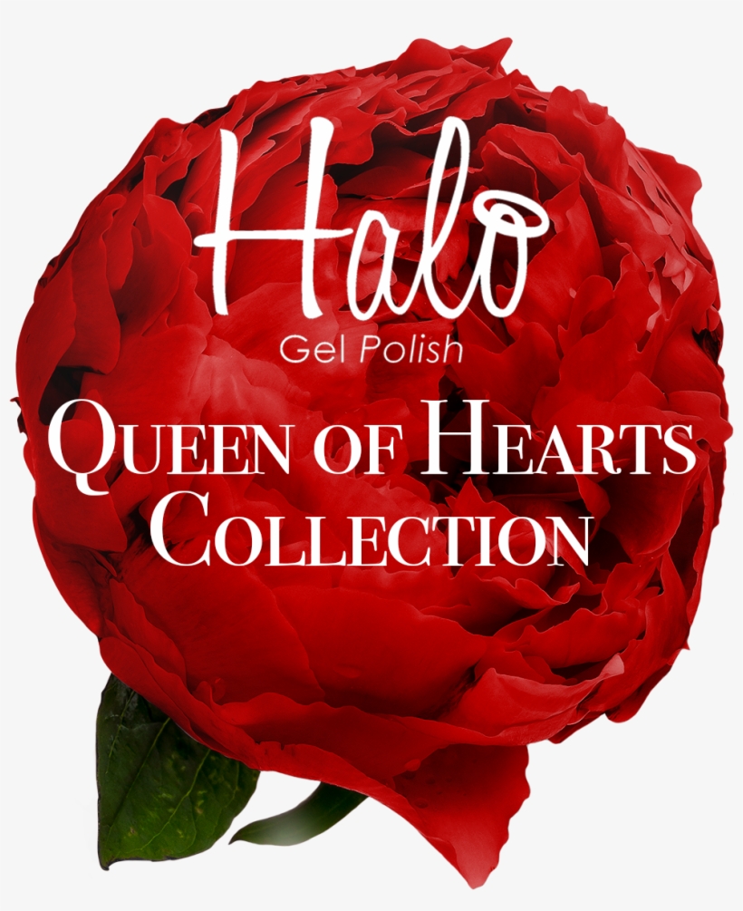 Introducing The Halo Gel Polish Queen Of Hearts Collection, - Valentine's Day, transparent png