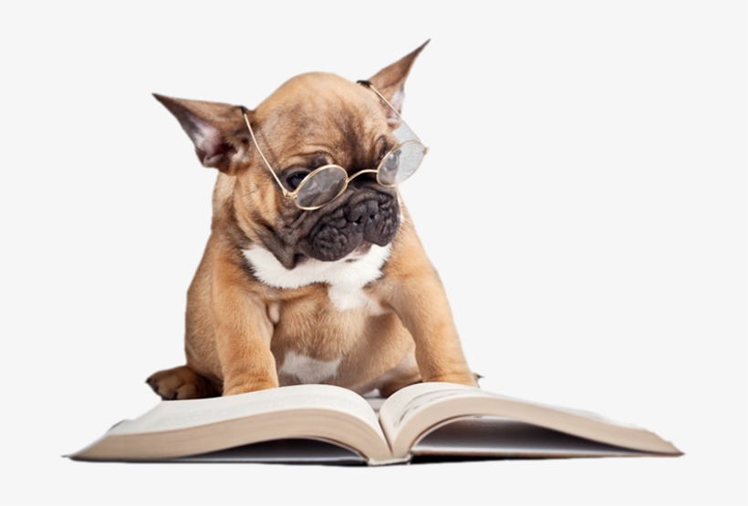 Recent Articles By Dr - Animal Read Png, transparent png