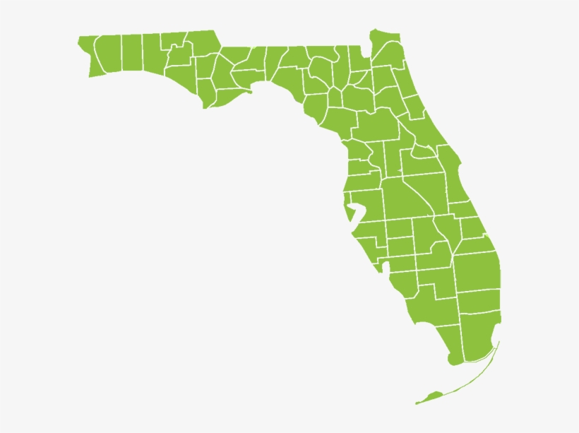 Green Star Biodiesel Services All Of Florida - Florida Election Results 2018, transparent png