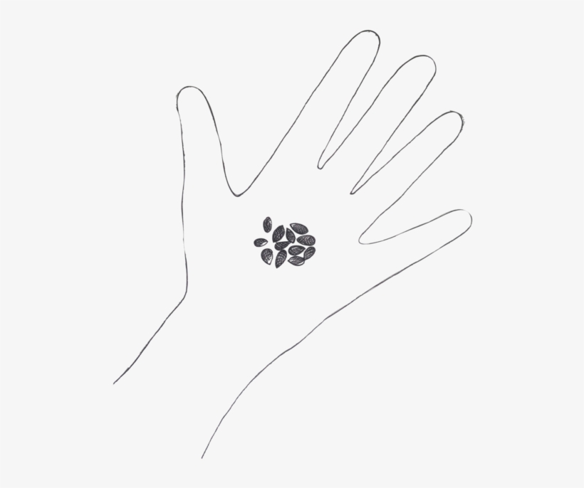Sowing The Seeds Project Pico, transparent png