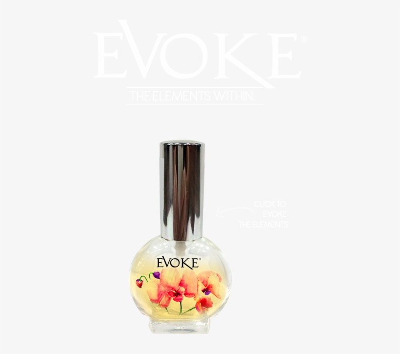 The Canadian Perfume Brand Evoke Is Created By Eco-expert - Perfume, transparent png