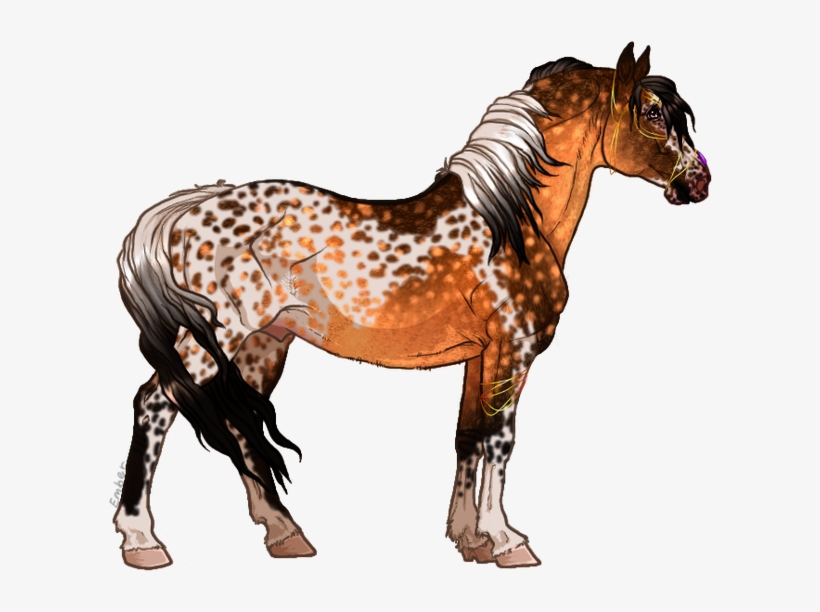 Ss Lost In A Fake Reality - Seal Bay Horse Sabino, transparent png