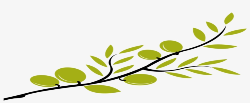 Although Markedly Chinese, The Symbol Is Quite Familiar - Olive Tree Branch Clip Art, transparent png