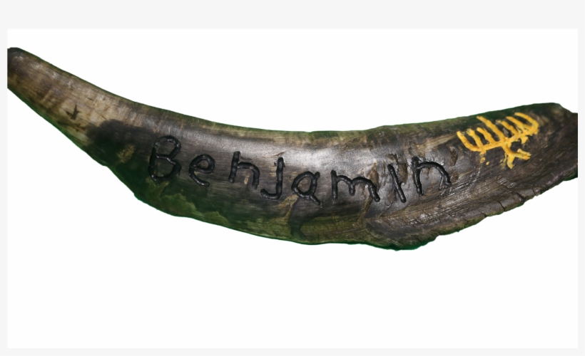 Shofar Png, transparent png