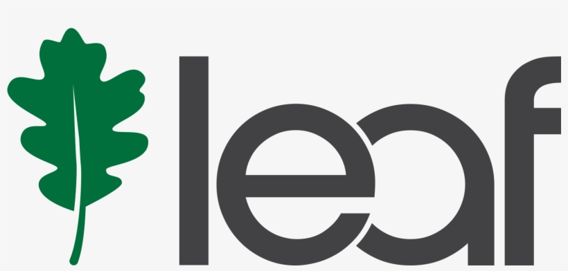 Graphic Design, transparent png