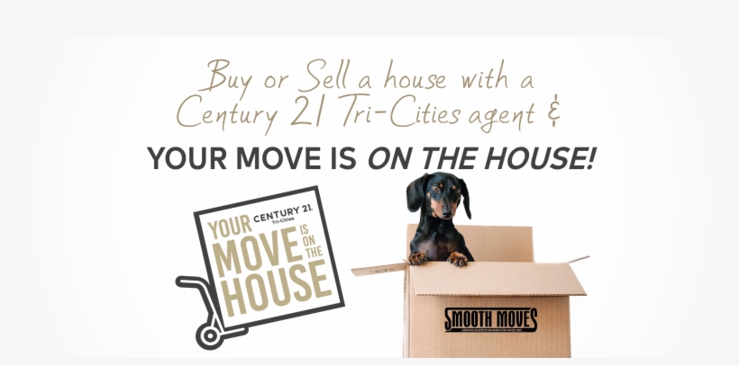 City - Dachshund, transparent png