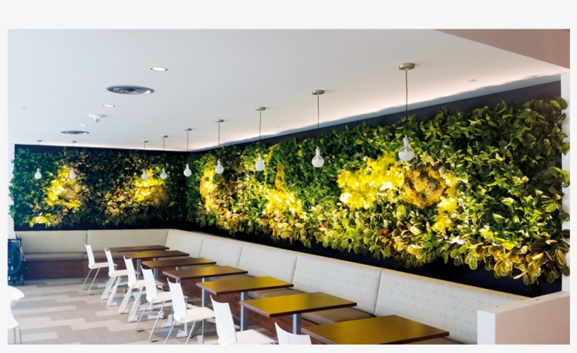 Living Wall 05 - Green Wall, transparent png
