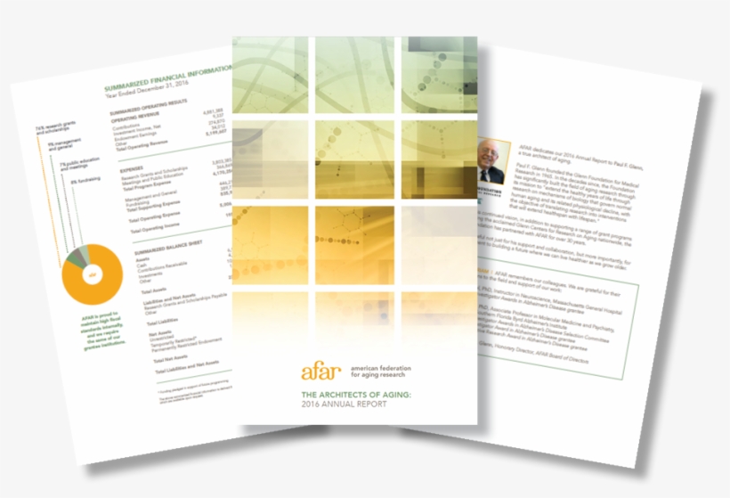 The Architects Of Aging - Brochure, transparent png