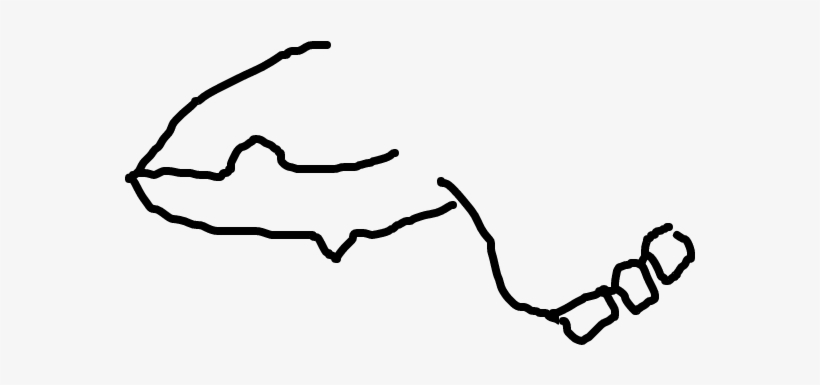 Kyogre - Cartoon, transparent png