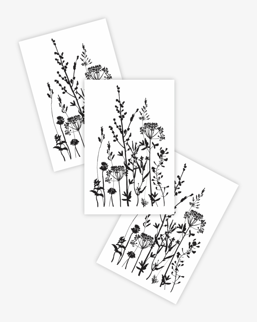 Wild Herbs - Herb, transparent png