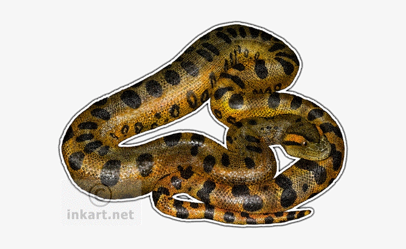 Green Anaconda Decal - Green Anaconda Wall Clock, transparent png