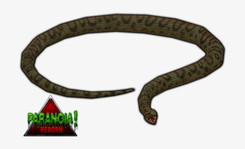 Giant Anaconda Paranoia By Budhiindra-d63aaz2 - Zoo Tycoon 2 Green Anaconda, transparent png