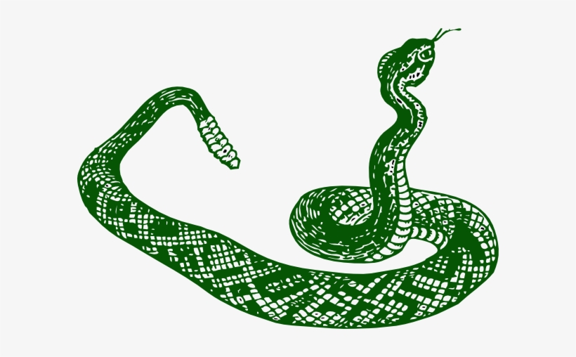Anaconda Clipart Jungle Snake - Serpiente Blanco Y Negro, transparent png