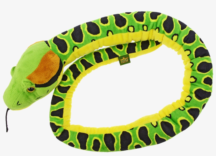 Snake, transparent png