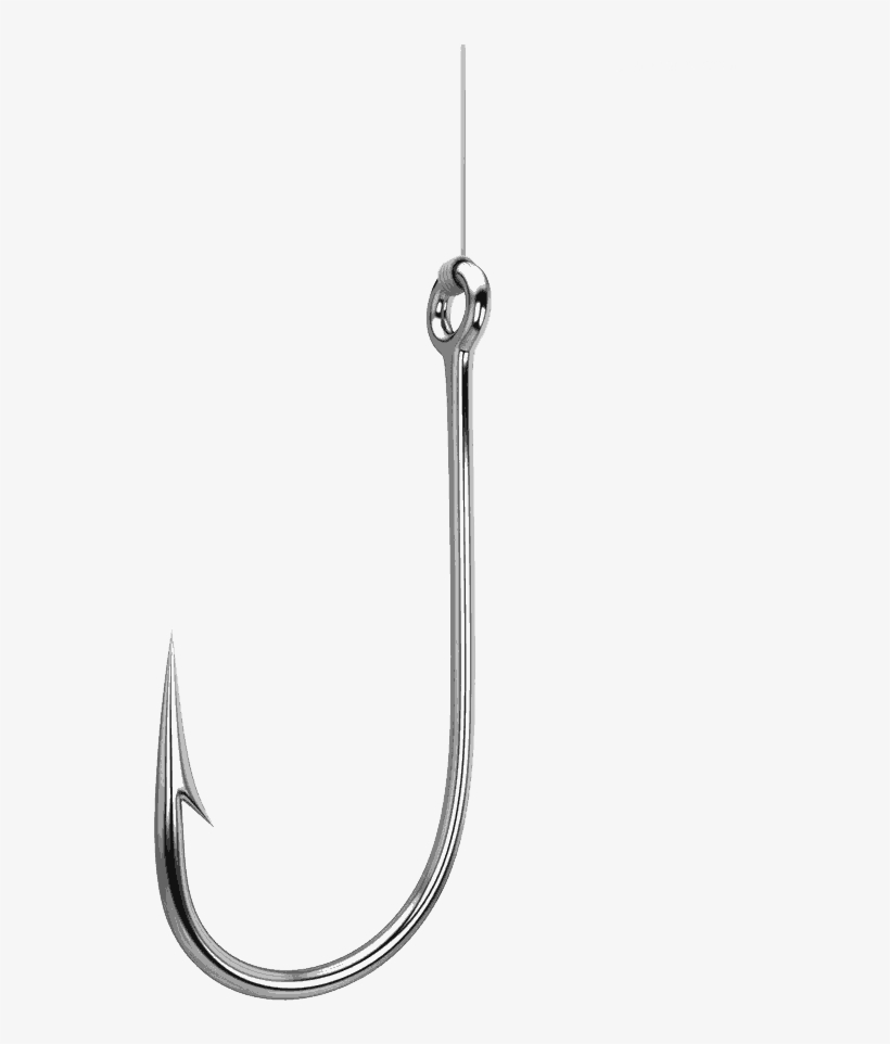 So, To Help You Figure Out What Kind Of Rods, Reels, - Transparent Fishing Hook Png, transparent png