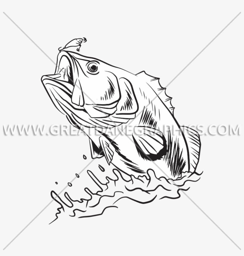 Bass Swim - Drawing, transparent png