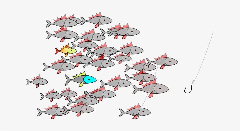 Fishing, Fishes, Swarm, Shoal, Fish Hook, Fishhook - School Of Fishing Shower Curtain, transparent png